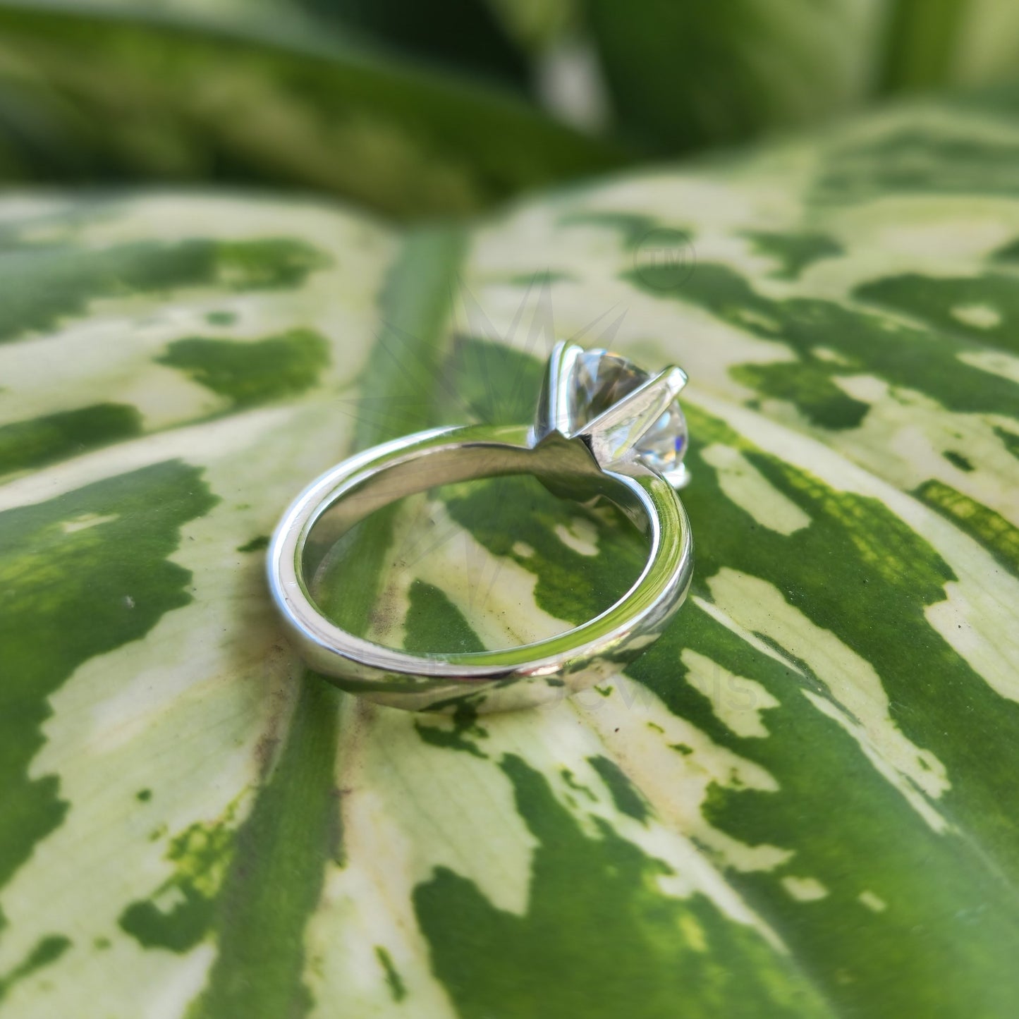 Round Cut Solitaire Moissanite Bridal Set
