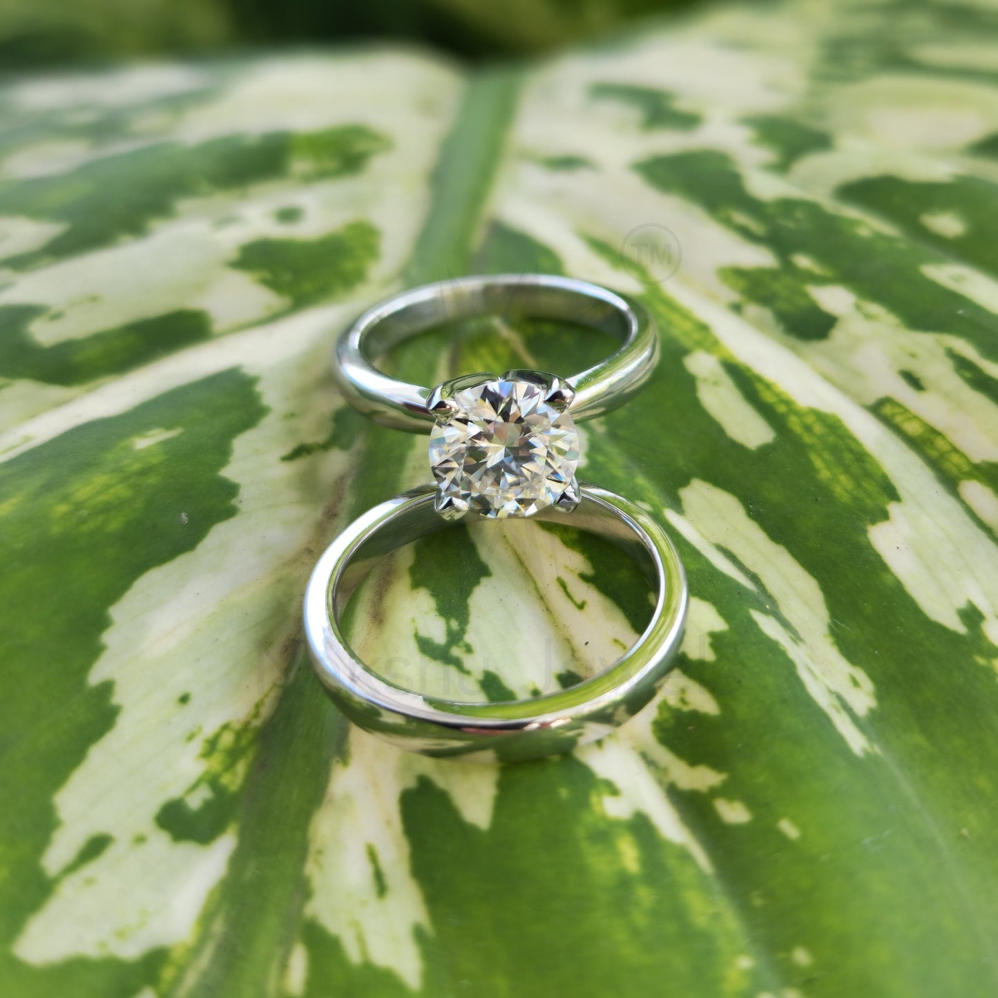 Round Cut Solitaire Moissanite Bridal Set