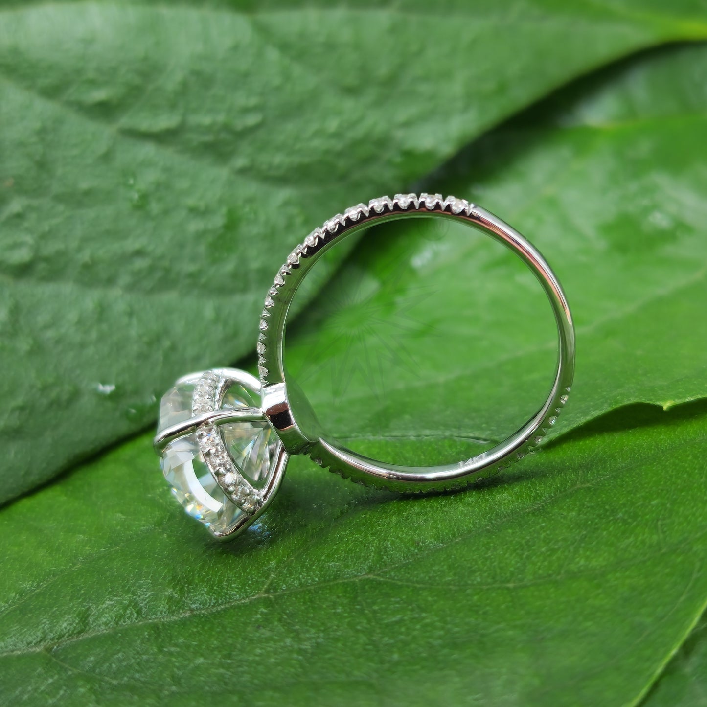 Modern Oval Hidden Halo Moissanite Engagement Ring for Women