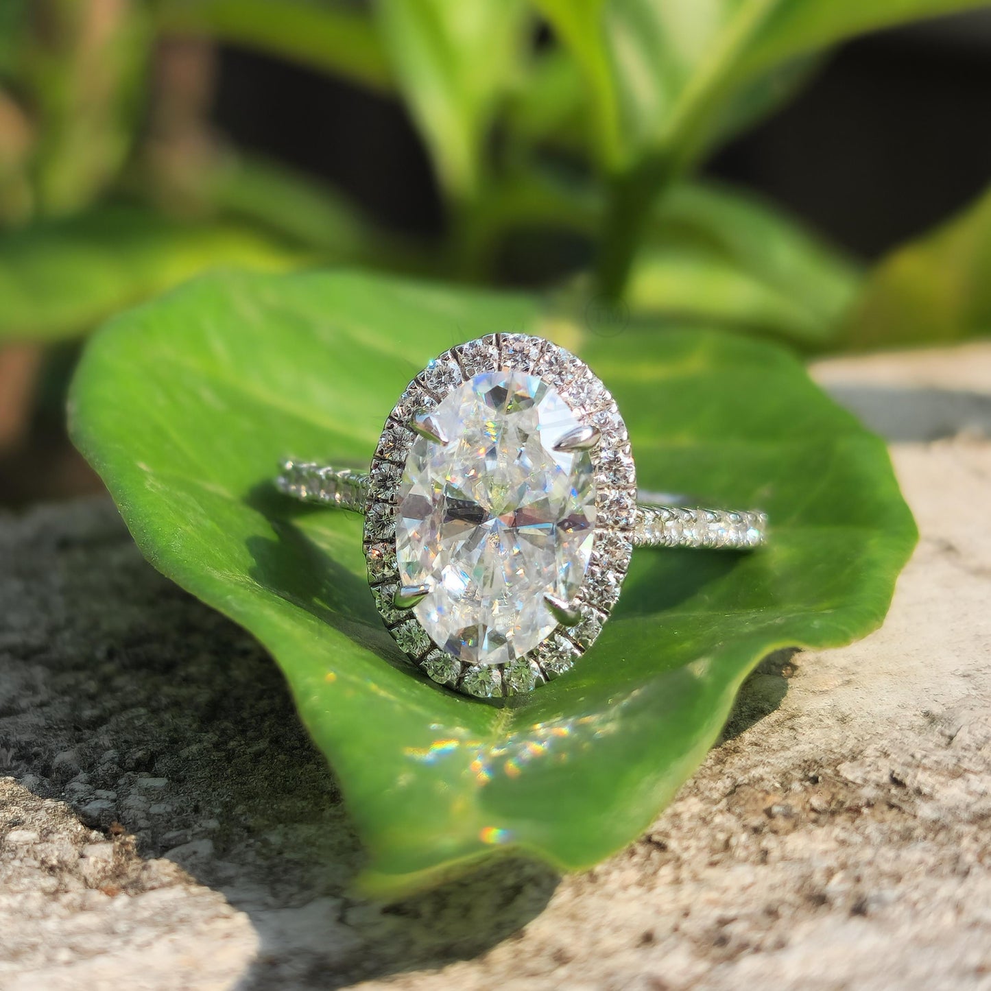 Moissanite Oval Halo Engagement Ring for Women