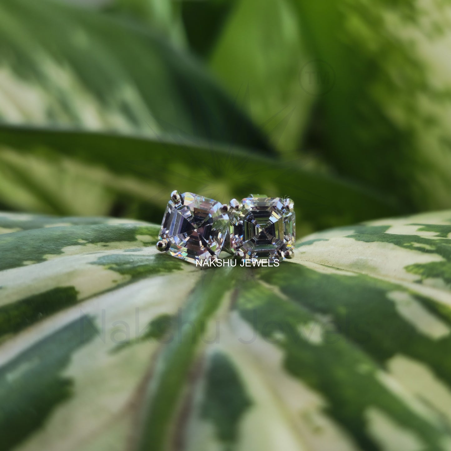 Asscher Cut Colorless Moissanite Earrings - Basket Set Stud Earrings